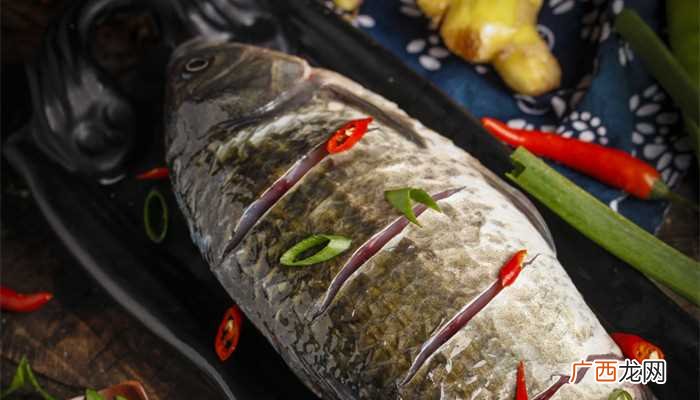 鲫鱼吃什么食物在家养 鲫鱼吃什么