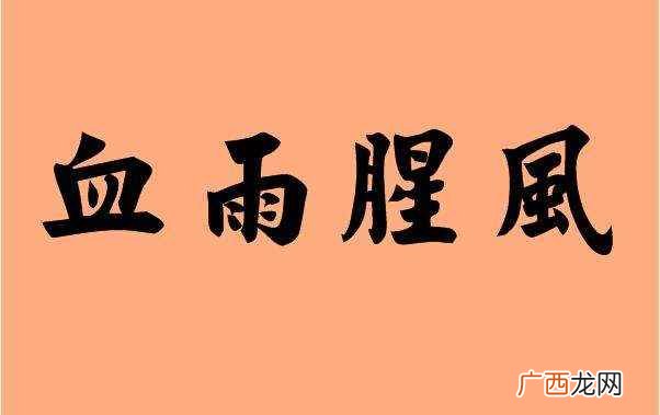 血雨腥风的意思是什么 血雨腥风的意思