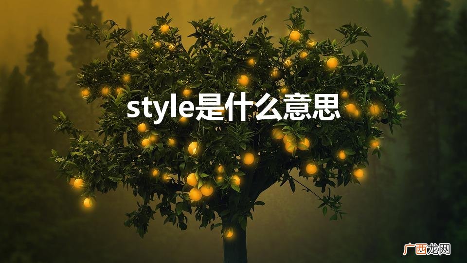 style是什么意思