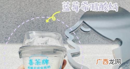 冰岛风味酸奶多少钱 希腊酸奶多少钱一盒