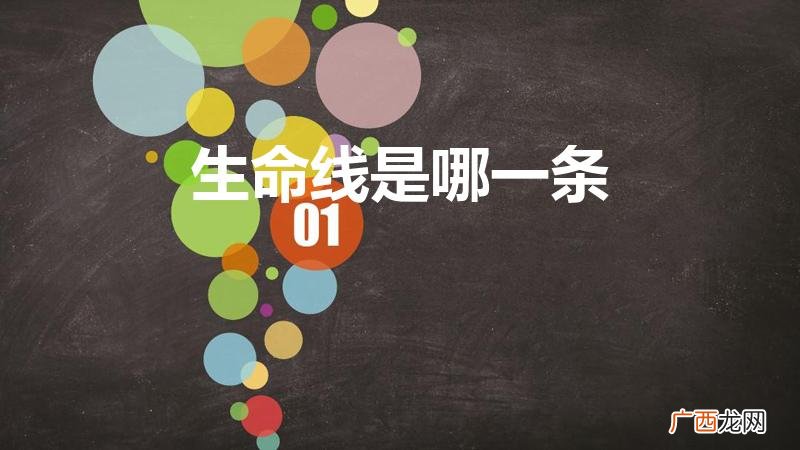 生命线是那一条 生命线是哪一条