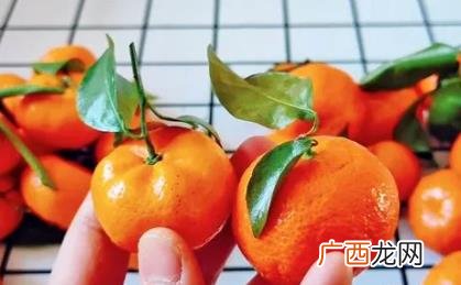 砂糖橘怎么分4号5号果 沙糖桔4号果大还是5号果大