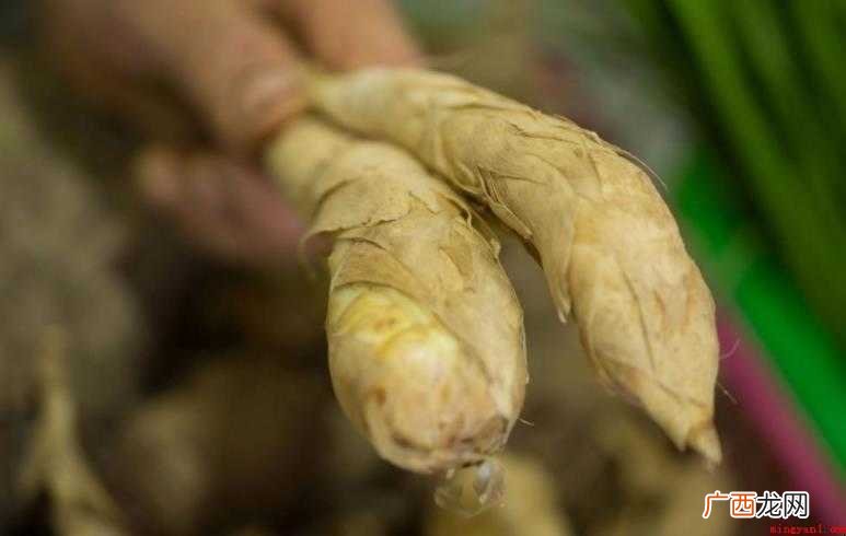 竹薯粉食用方法有哪些