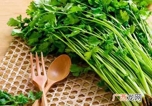 多吃香菜有什么好处和坏处 多吃香菜有什么好处