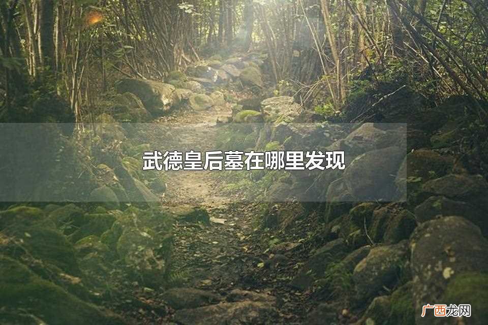 武德皇后墓发现于陕西渭城区底张镇陈马村东南的农田里 武德皇后墓在哪里发现