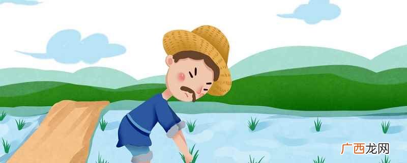 徐光启的农学著作是《农政全书》 徐光启的农学著作是什么