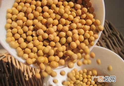 黄豆的营养价值及功效与副作用 黄豆的营养价值及功效