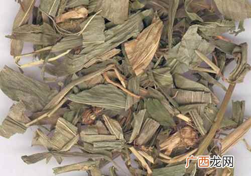 淡竹叶的功效与作用及禁忌症有 淡竹叶的功效与作用及禁忌症
