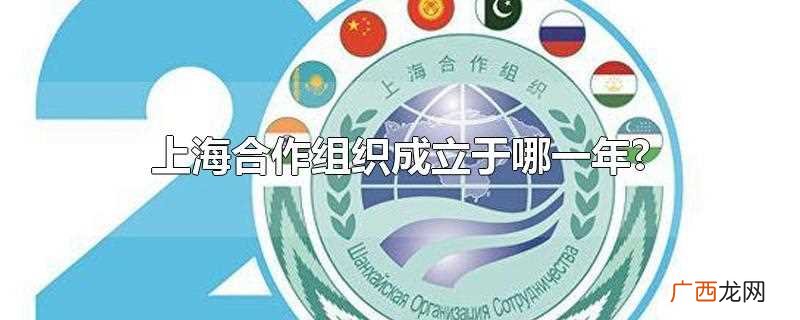 上海合作组织成立于哪一年的六月 上海合作组织成立于哪一年