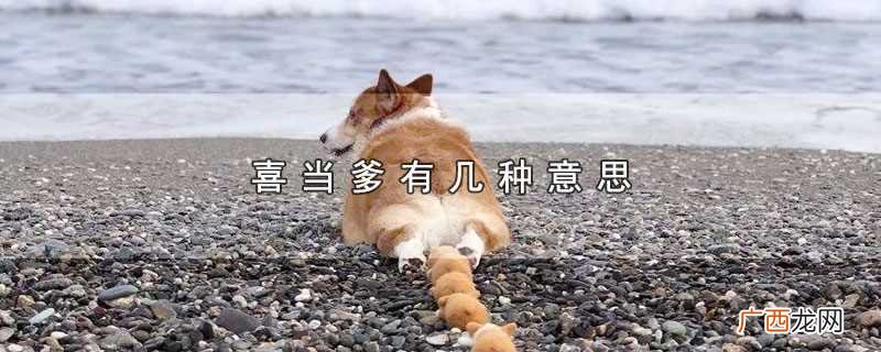 喜当爹什么意思 喜当爹有几种意思