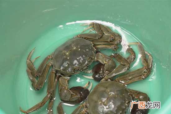 活螃蟹可放入冰箱中保存 活螃蟹怎么保存