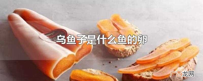 乌鱼子价格不菲的原因制作 乌鱼子是什么鱼的卵