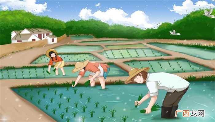 劳动节是什么意思怎么说 劳动节是什么意思