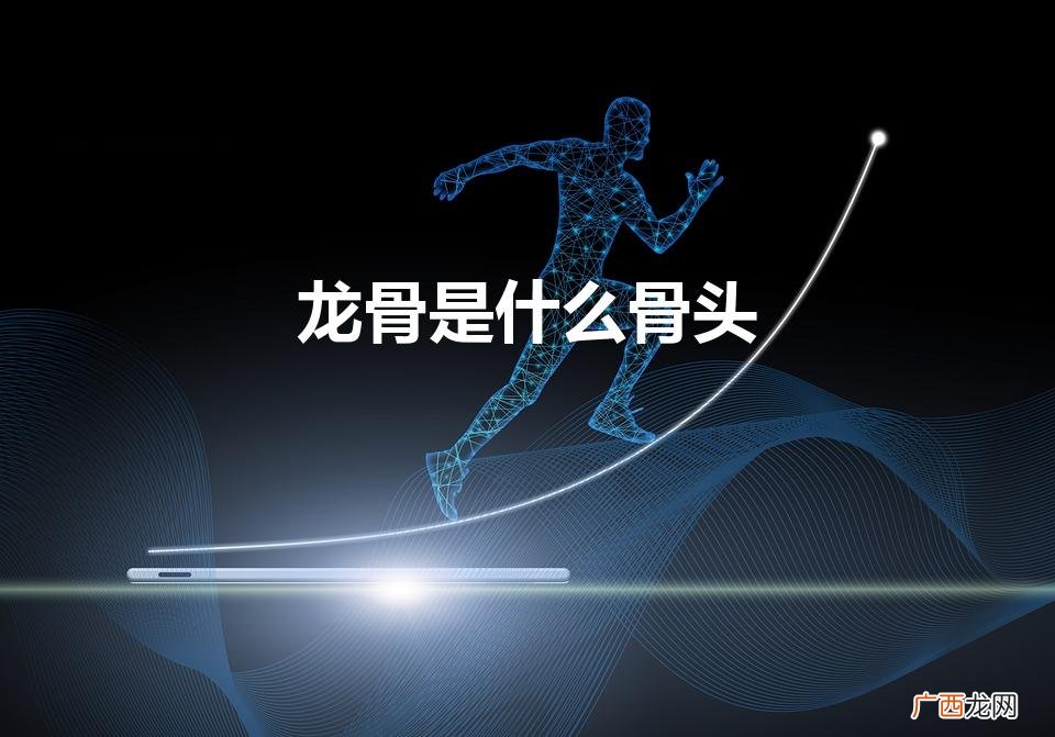 龙骨是什么骨头呀 龙骨是什么骨头
