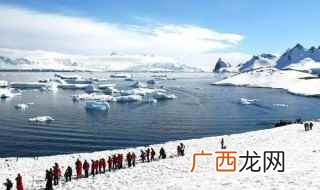 什么季节去南极旅游最好 去南极旅游什么时候最好