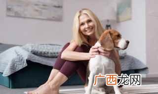 养狗家里味道大怎么办啊 养狗家里味道大怎么办