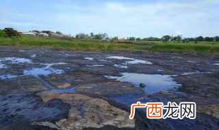 在加勒比海里的最丑陋的旅游胜地 沥青湖在哪