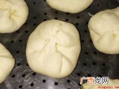 马齿苋做包子馅怎么做好吃
