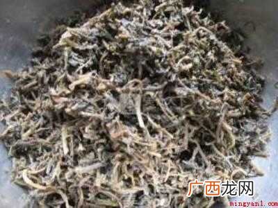 马齿苋做包子馅怎么做好吃