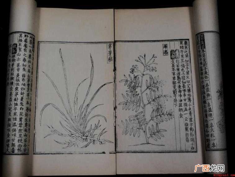 《救荒本草》是哪个朝代写的
