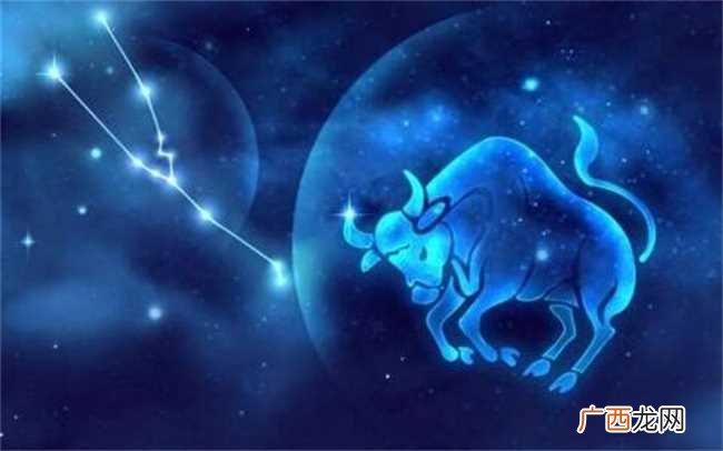 12星座哪个事业心最强 哪个星座事业心比较强