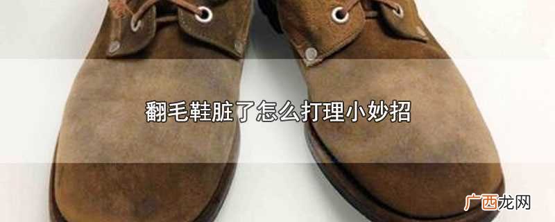 翻毛鞋脏了需要使用吹风机进行清洗 翻毛鞋脏了怎么打理小妙招
