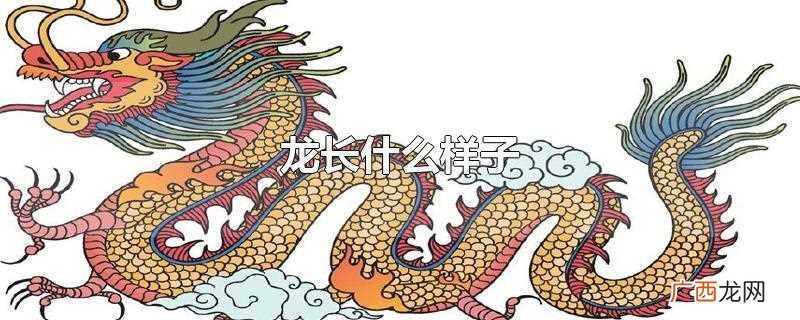 龙长什么样子图片 龙长什么样子