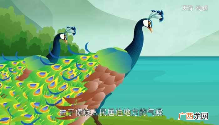 傣族为什么喜欢孔雀舞的原因 傣族为什么喜欢孔雀舞