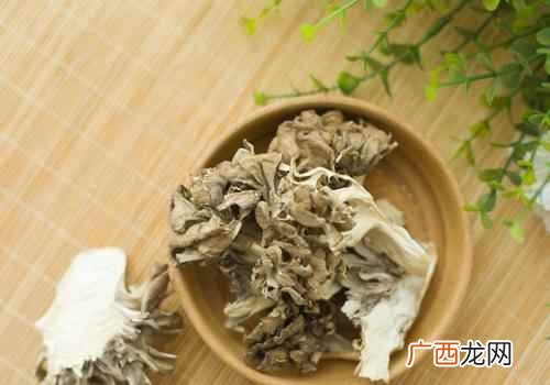 灰树花的功效与作用禁忌 灰树花的功效与作用