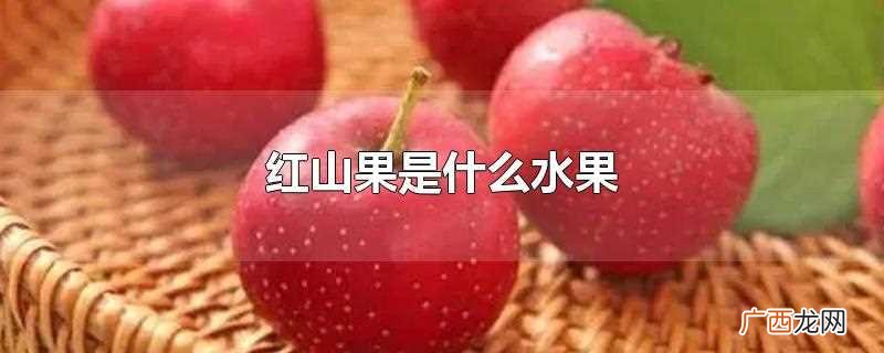 红山果是什么水果的果实 红山果是什么水果