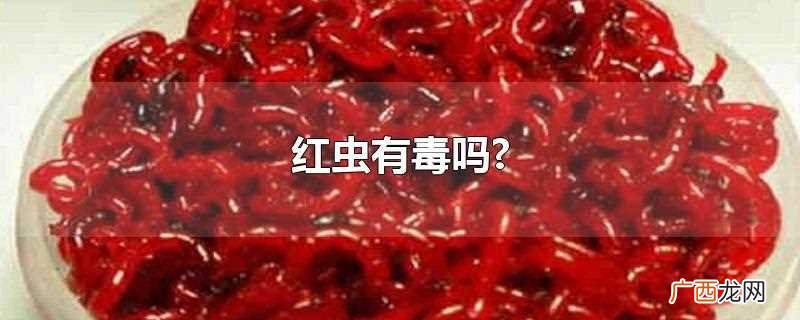 红虫有毒吗对人有害吗 红虫有毒吗
