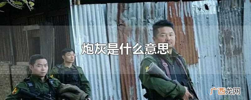 炮灰是什么意思网络语 炮灰是什么意思