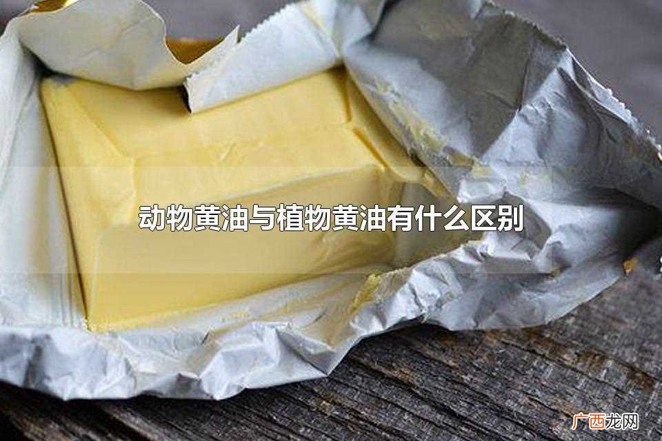 动物黄油和黄油的区别有提炼方式 动物黄油与植物黄油有什么区别