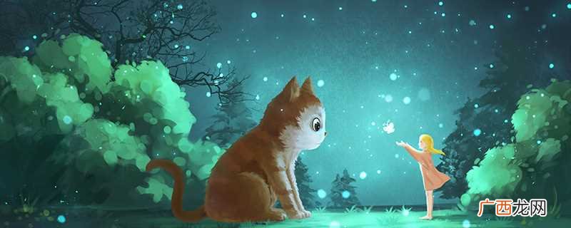 猫的记忆力好不好 猫的记忆力到底有多长时间