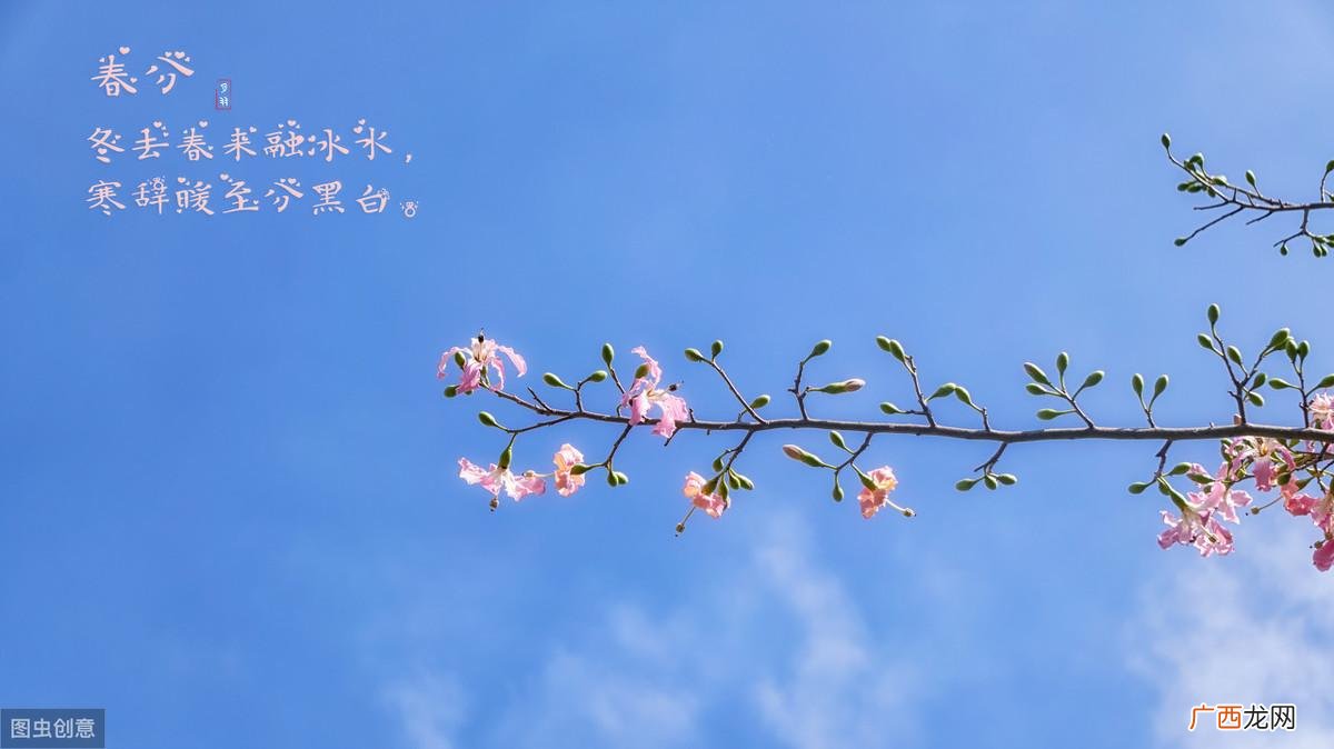 老师要确立怎样的价值观 教师职业价值观有哪些方面美容