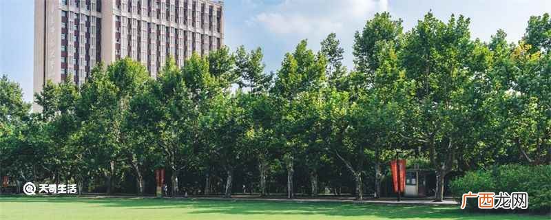 湖南理工学院国家级特色专业建设点 湖南理工大学是几本