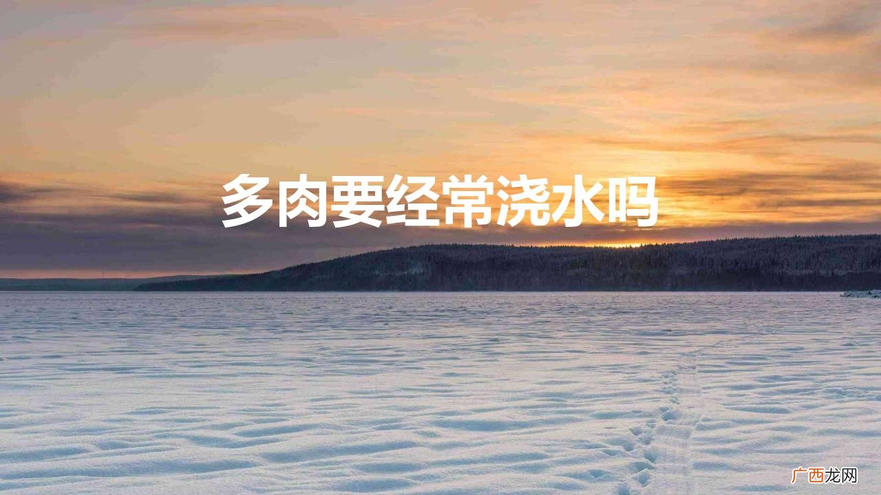 多肉植物经常浇水会引起烂根 多肉要经常浇水吗