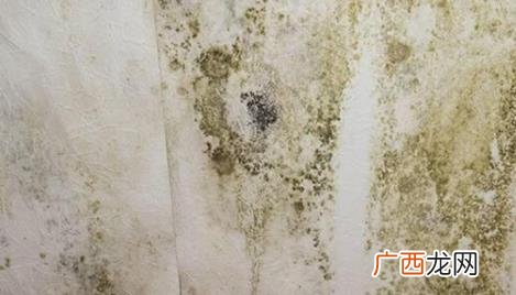 墙面发霉用84处理可以吗 墙发霉可以用84吗