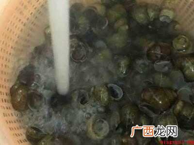 螺丝肉怎么吃
