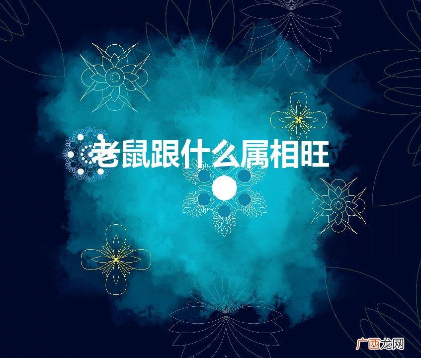 老鼠跟什么属相旺