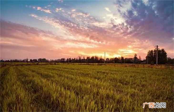 中国历史上所说的“一亩见方” 一亩地是多少平方米