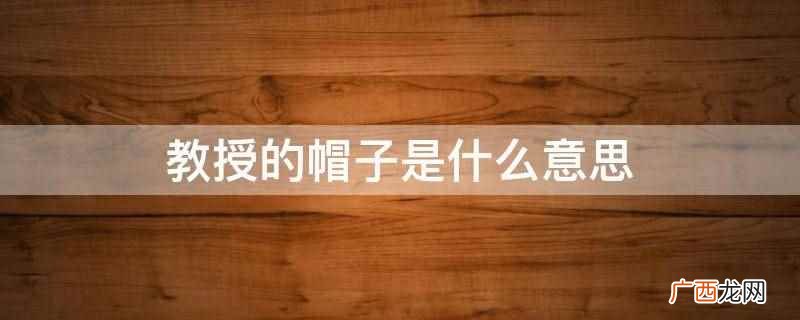 教授有帽子是什么意思 科研所的帽子什么意思