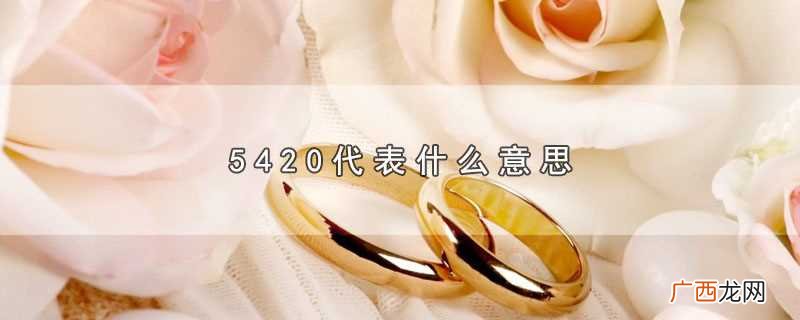 5420代表什么意思呢 5420代表什么意思
