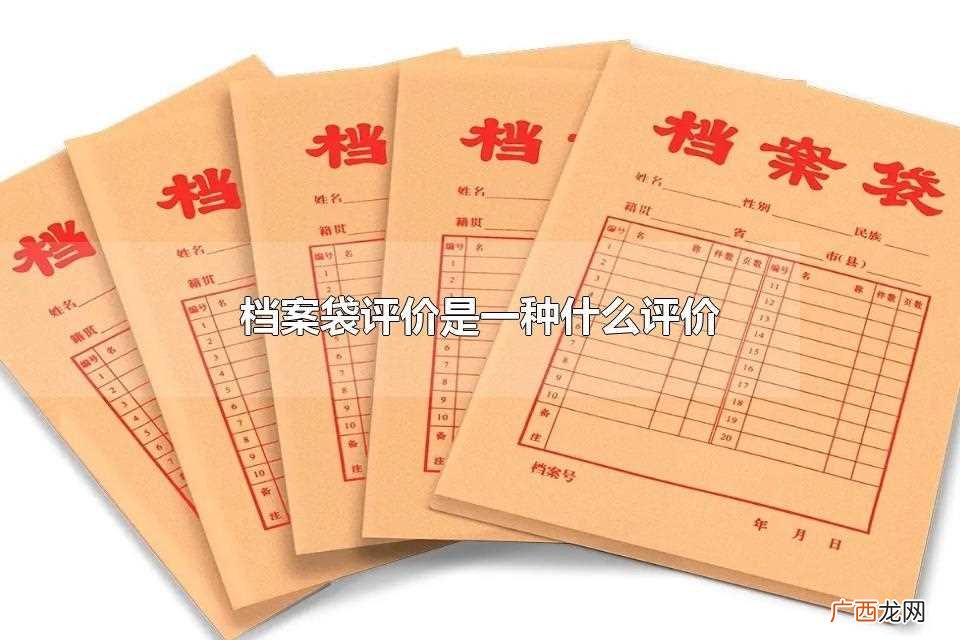 档案袋评价是什么意思 档案袋评价是一种什么评价