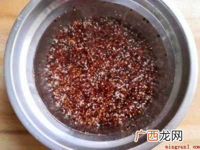 三色藜麦怎么煮