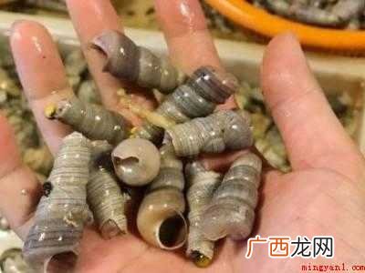 钉螺怎么清洗没有沙子