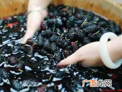 如何做桑葚膏