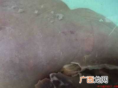 猪肝粉怎么吃