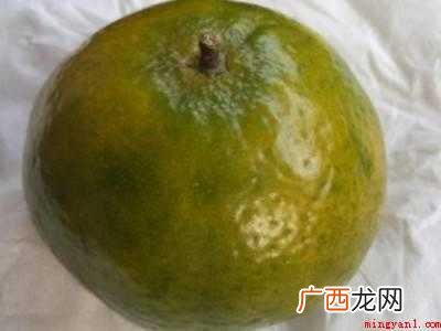 桔子皮怎样制陈皮