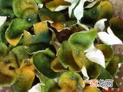 桔子皮怎样制陈皮